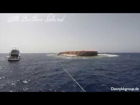 3# Tauch Safari: (Little Brother) Brothers Islands – Daedalus – Elphinstone