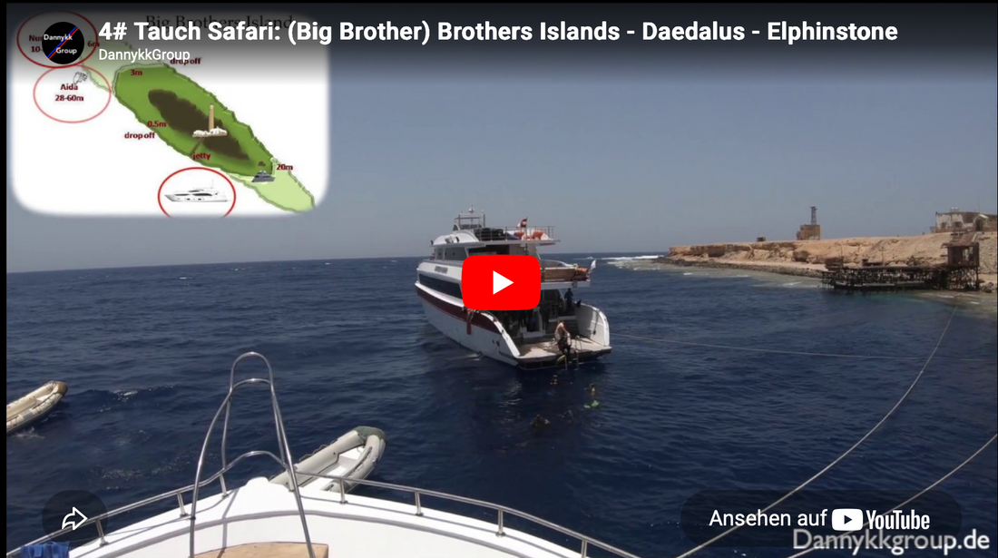 4# Tauch Safari: (Big Brother) Brothers Islands – Daedalus – Elphinstone
