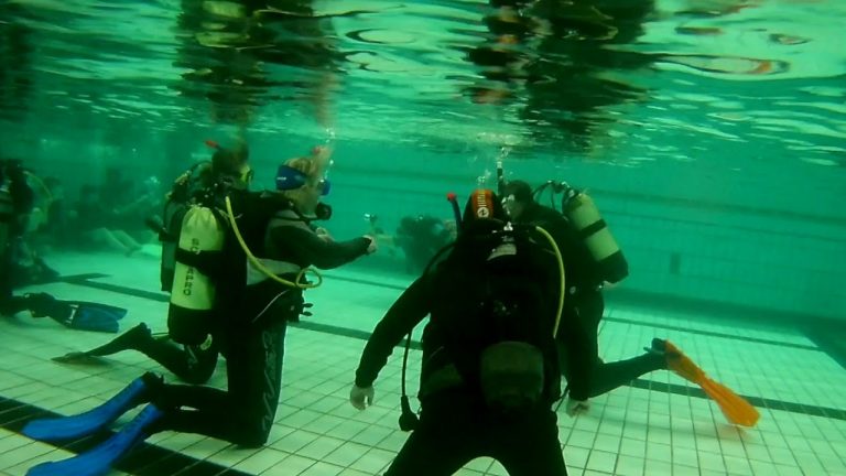 Freies Tauchtraining im Schwimmbad Hochheim bei Frankfurt