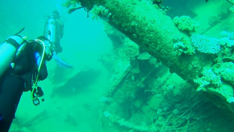 Tauchen am Wrack Hamada Abu Ghusun Marsa Alam in Äygypten